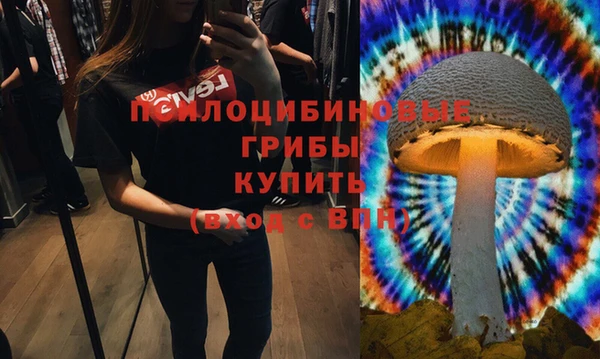 гидропоника Армянск