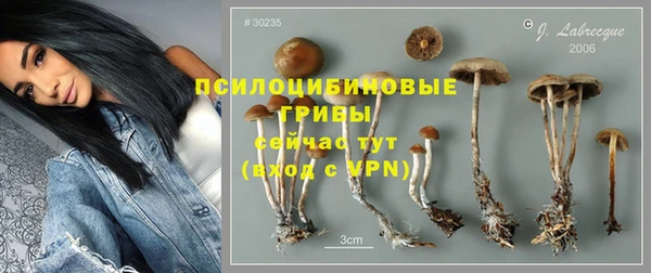 гидропоника Армянск