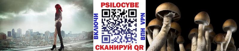 наркошоп Армянск Псилоцибиновые грибы ЛСД