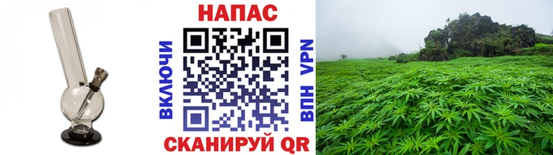 Бошки Шишки MAZAR  мега как зайти  Армянск 